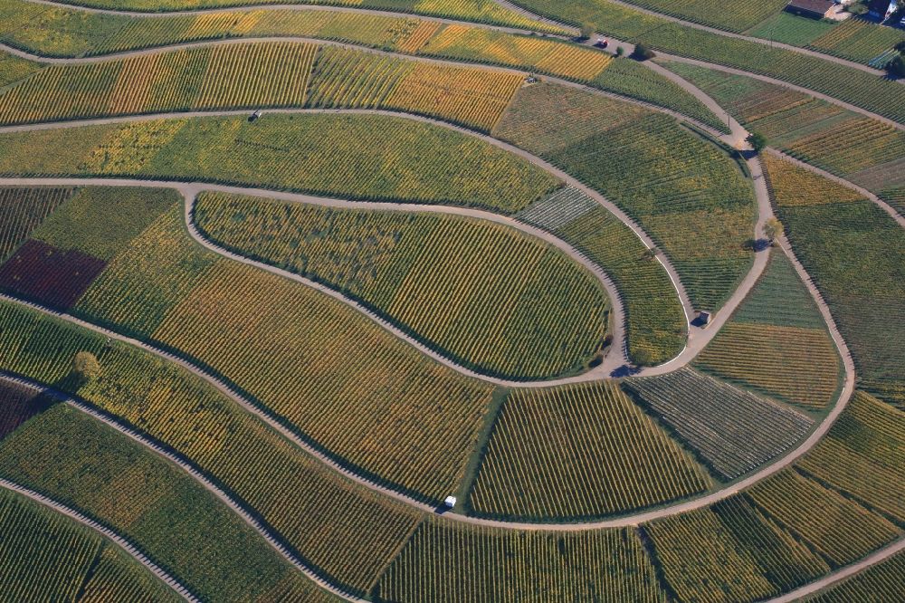 Aerial photograph Schallstadt - Vineyard Sonnenberg with structures of the roads to grow the vine of Baden in Schallstadt and Ebringen in the state Baden-Wuerttemberg, Germany