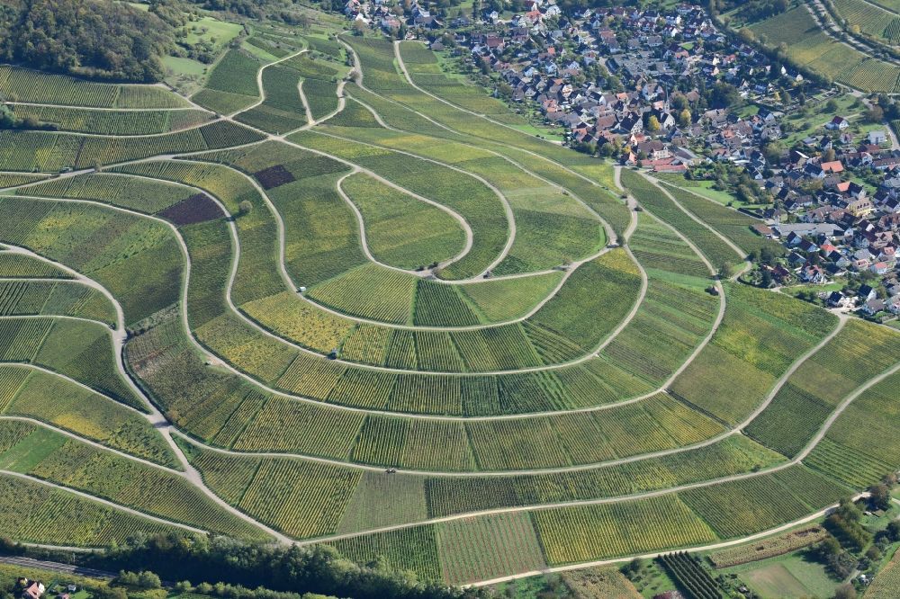 Ebringen from above - Vineyard Sonnenberg with structures of the roads to grow the vine of Baden in Ebringen in the state Baden-Wuerttemberg, Germany