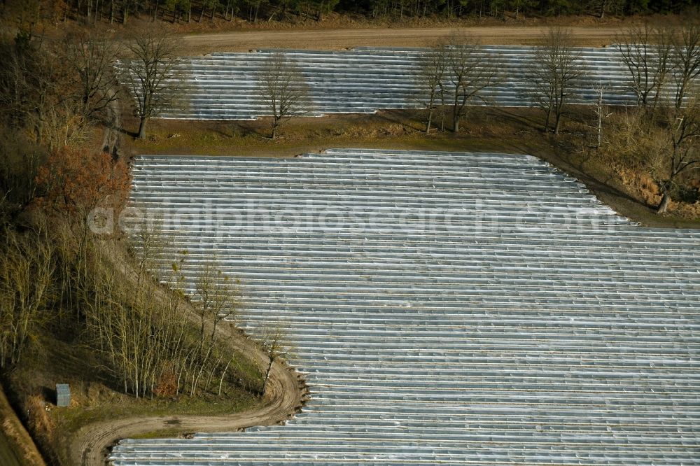 Amalienfelde from above - Rows with asparagus growing on field surfaces in Amalienfelde in the state Brandenburg, Germany