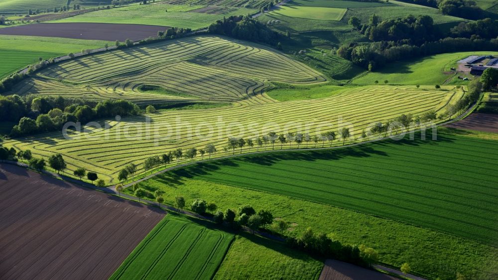 Blankenbach from the bird's eye view: Freshly mowed rows and lines of mowed grass in fields in Blankenbach in the state North Rhine-Westphalia, Germany