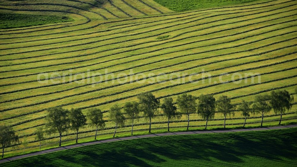 Aerial photograph Blankenbach - Freshly mowed rows and lines of mowed grass in fields in Blankenbach in the state North Rhine-Westphalia, Germany