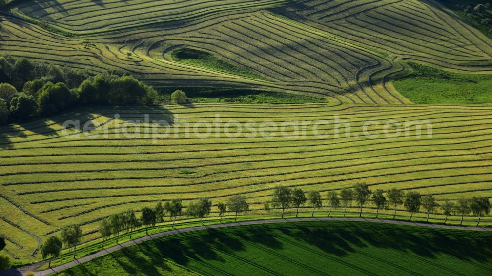 Blankenbach from above - Freshly mowed rows and lines of mowed grass in fields in Blankenbach in the state North Rhine-Westphalia, Germany