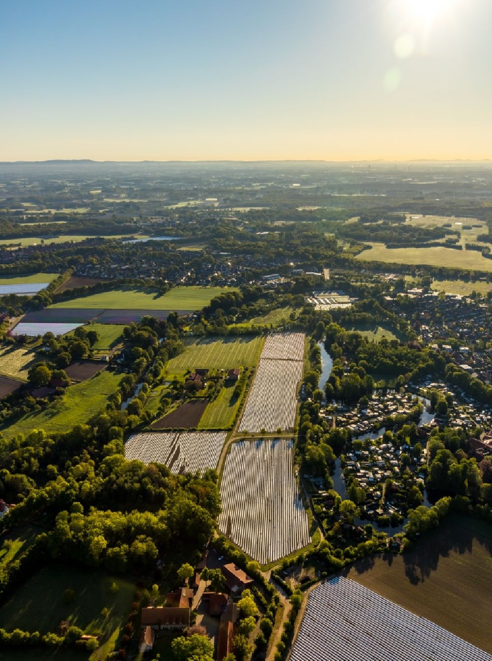 Aerial image Münster - Rows with asparagus growing on field surfaces along the Sudmuehlenstrasse in Muenster in the state North Rhine-Westphalia, Germany