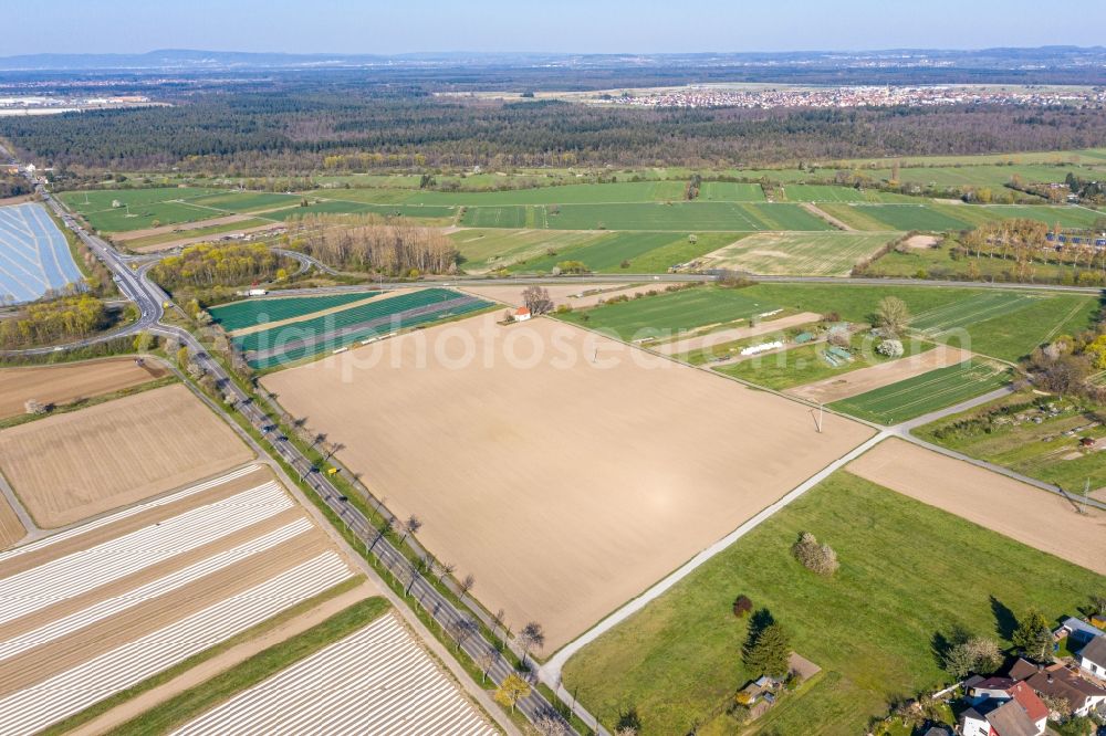 Aerial image Neudorf - Rows with asparagus growing on field surfaces in Neudorf in the state Baden-Wurttemberg, Germany