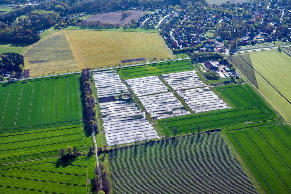 Nottensdorf from above - Rows with asparagus growing on field surfaces in Nottensdorf in the state Lower Saxony, Germany