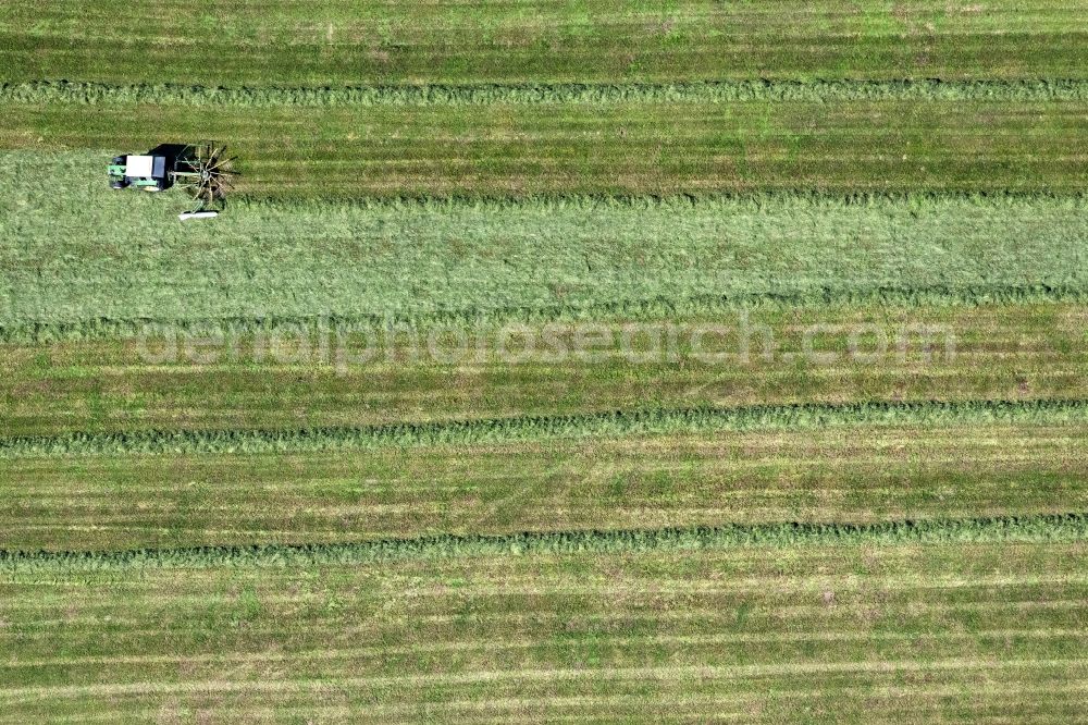 Aerial photograph Schongau - Freshly mowed rows and lines of mowed grass in fields in Schongau in the state Bavaria, Germany