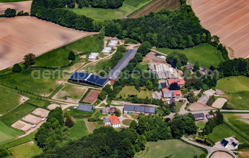 Windeby from the bird's eye view: Equestrian facility and manor - Horse farm and holiday homes in Windeby in the state Schleswig-Holstein, Germany