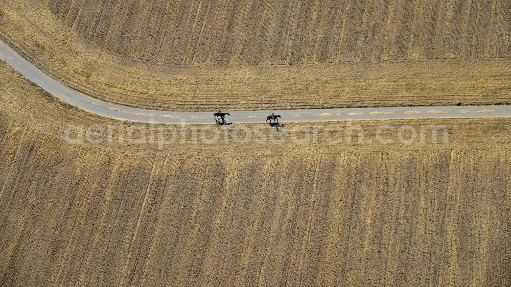 Aerial image Kasbach-Ohlenberg - Riders on a road Kasbach-Ohlenberg in the state Rhineland-Palatinate, Germany