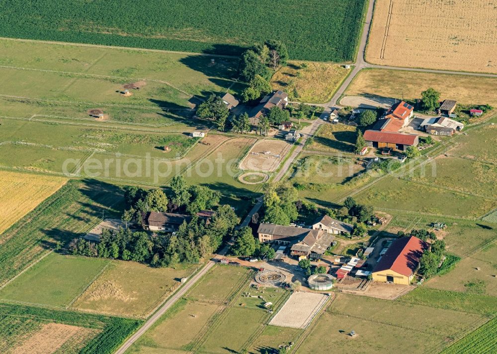 Herbolzheim from above - Building of stables in Herbolzheim in the state Baden-Wuerttemberg, Germany