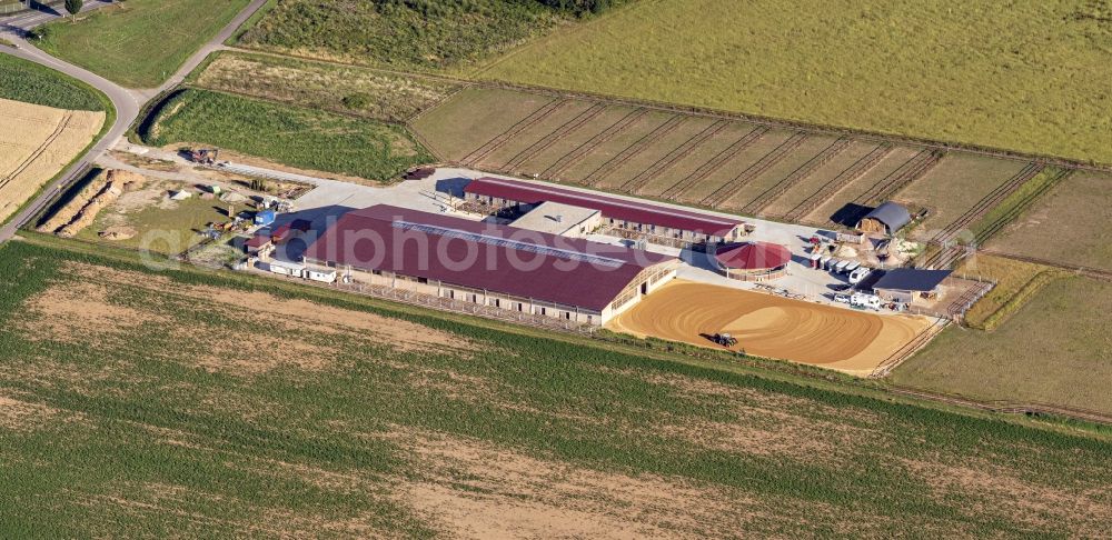 Aerial photograph Herbolzheim - Building of stables in of Landsiedlung in Herbolzheim in the state Baden-Wuerttemberg, Germany