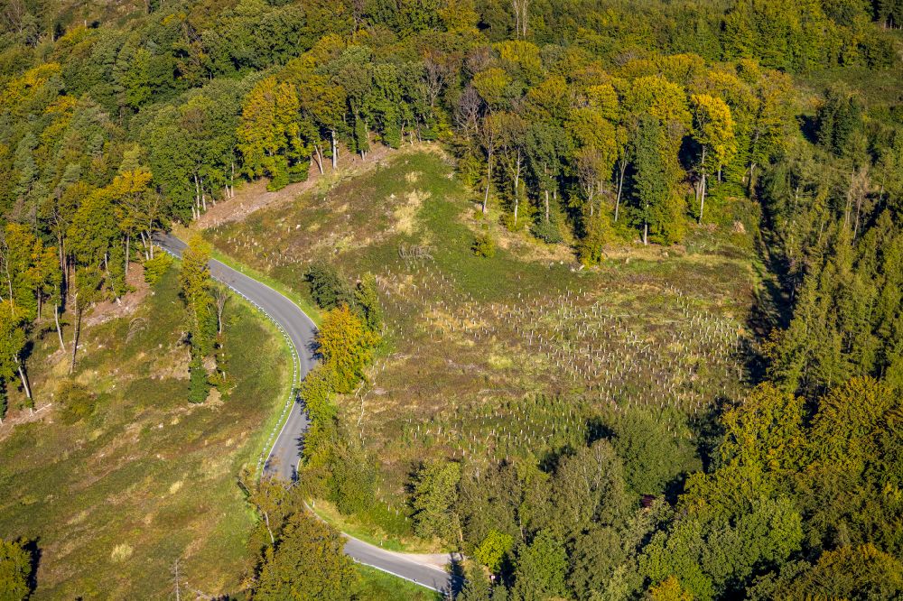 Aerial photograph Eisborn - Renaturation through afforestation of young trees in the forest area in Eisborn at Sauerland in the state North Rhine-Westphalia, Germany