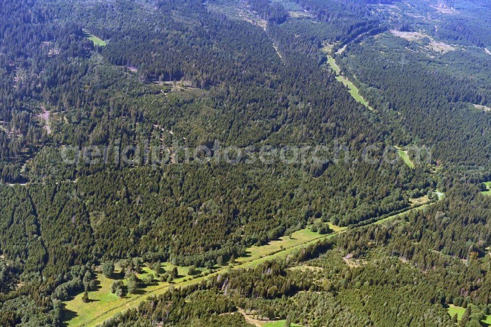 Aerial photograph Rosenthal am Rennsteig - Renaturation through afforestation of young trees in the forest area along the former GDR border in Rosenthal am Rennsteig in the state Thuringia, Germany