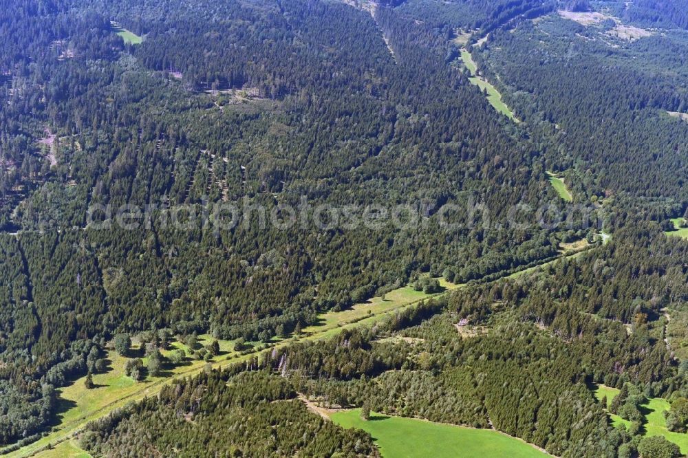 Rosenthal am Rennsteig from above - Renaturation through afforestation of young trees in the forest area along the former GDR border in Rosenthal am Rennsteig in the state Thuringia, Germany