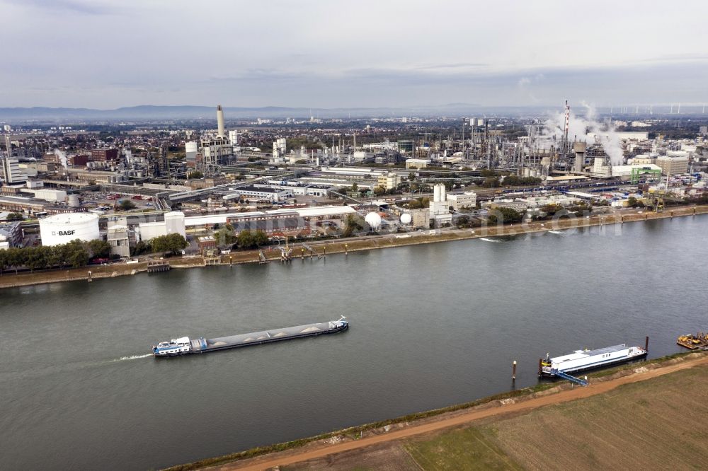 Aerial image Ludwigshafen am Rhein - Riparian zones on the course of the river of rhine on BASF - factory premise in Ludwigshafen am Rhein in the state Rhineland-Palatinate, Germany