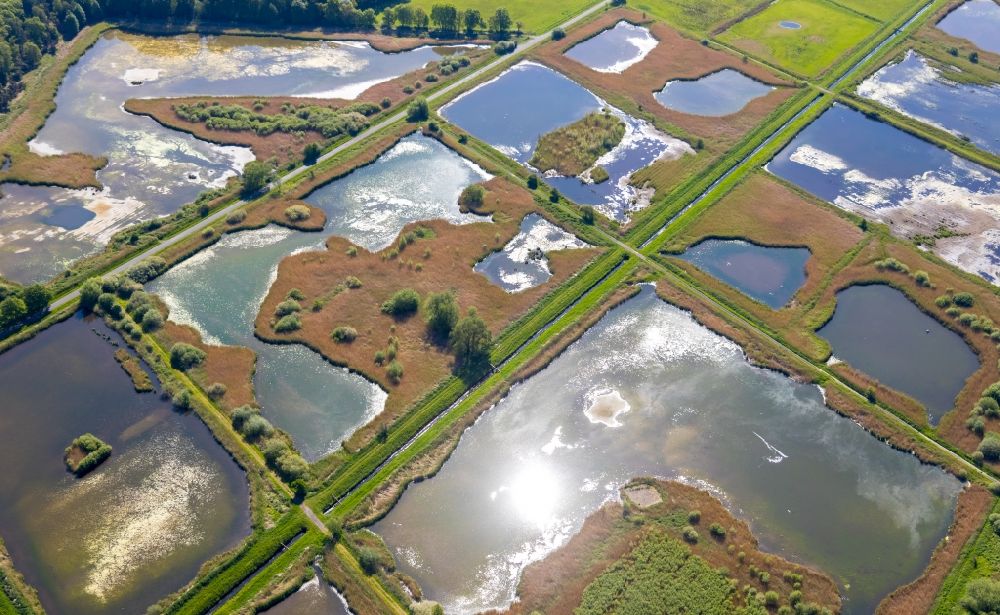 Aerial image Münster - Sewage treatment plant basins and treatment stages for wastewater treatment in trickle fields in Muenster in the state North Rhine-Westphalia, Germany