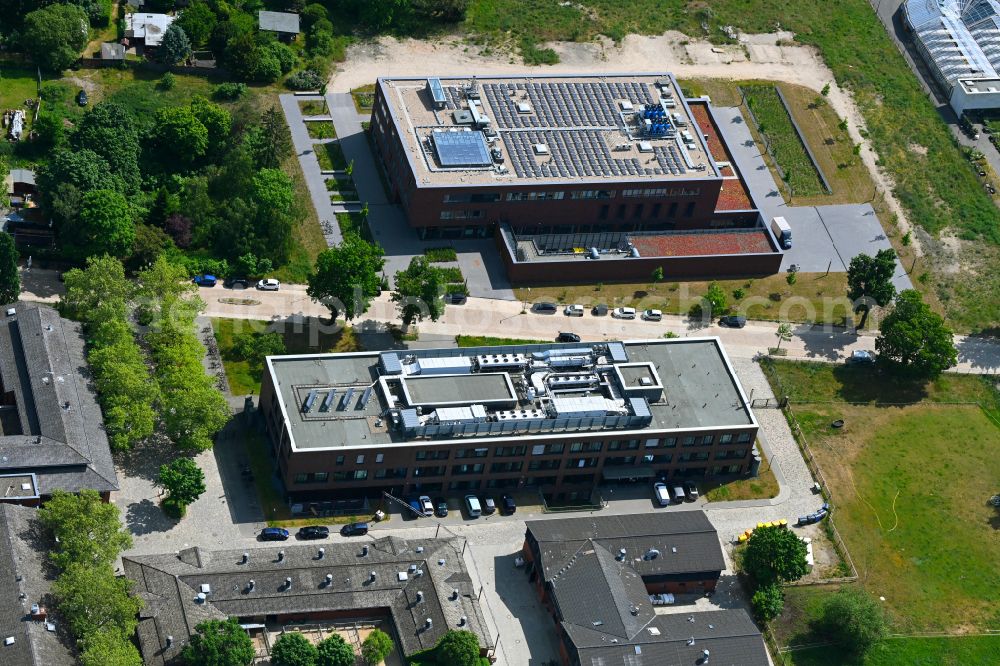 Aerial image Berlin - Building complex of the Institute fuer Virologie and Immunologie on street Robert-von-Ostertag-Strasse in the district Zehlendorf in Berlin, Germany