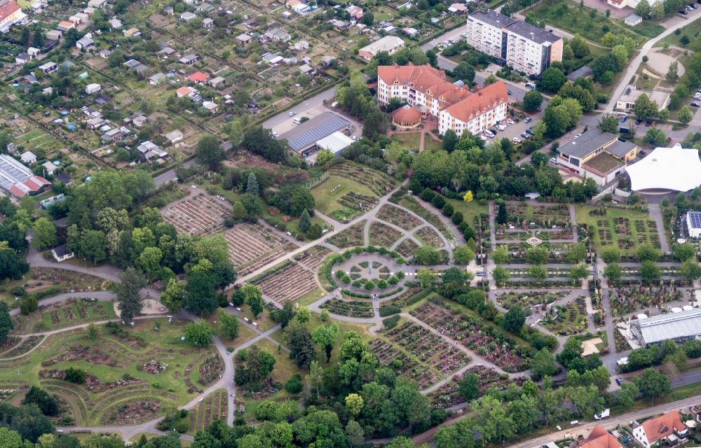 Aerial photograph Sangerhausen - Rose garden Europa Rosarium in Sangerhausen in the state Saxony-Anhalt, Germany