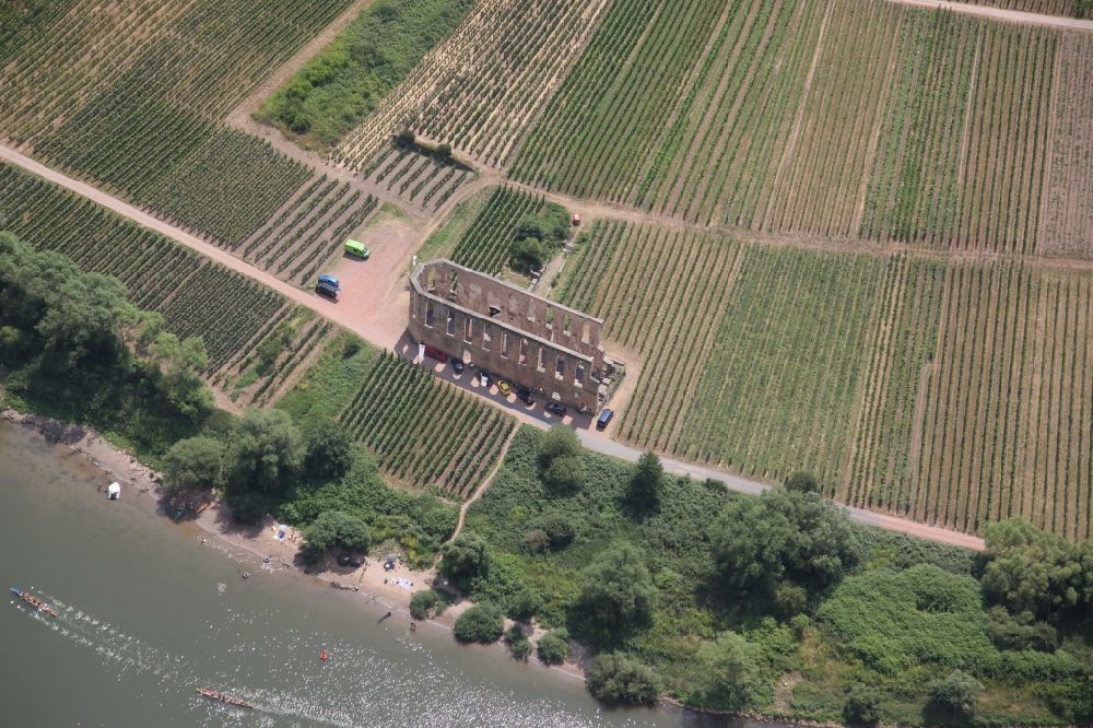 Aerial photograph Bremm - Ruins of church building abbey Kloster Stuben on Mosel in Bremm in the state Rhineland-Palatinate, Germany