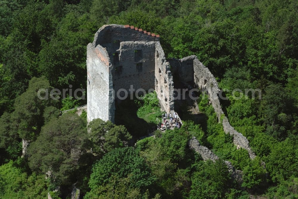 Aerial photograph Bodman - Ruins and vestiges of the former castle and fortress Altbodman in Bodman in the state Baden-Wurttemberg, Germany