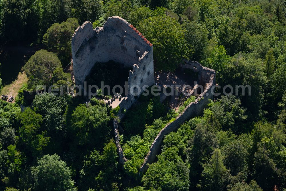 Bodman from the bird's eye view: Ruins and vestiges of the former castle and fortress Altbodman in Bodman in the state Baden-Wurttemberg, Germany