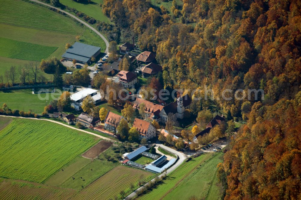 Aerial photograph Schelklingen - Ruins and vestiges of the former castle Hohenschelkingen in Schelklingen in the state Baden-Wuerttemberg, Germany