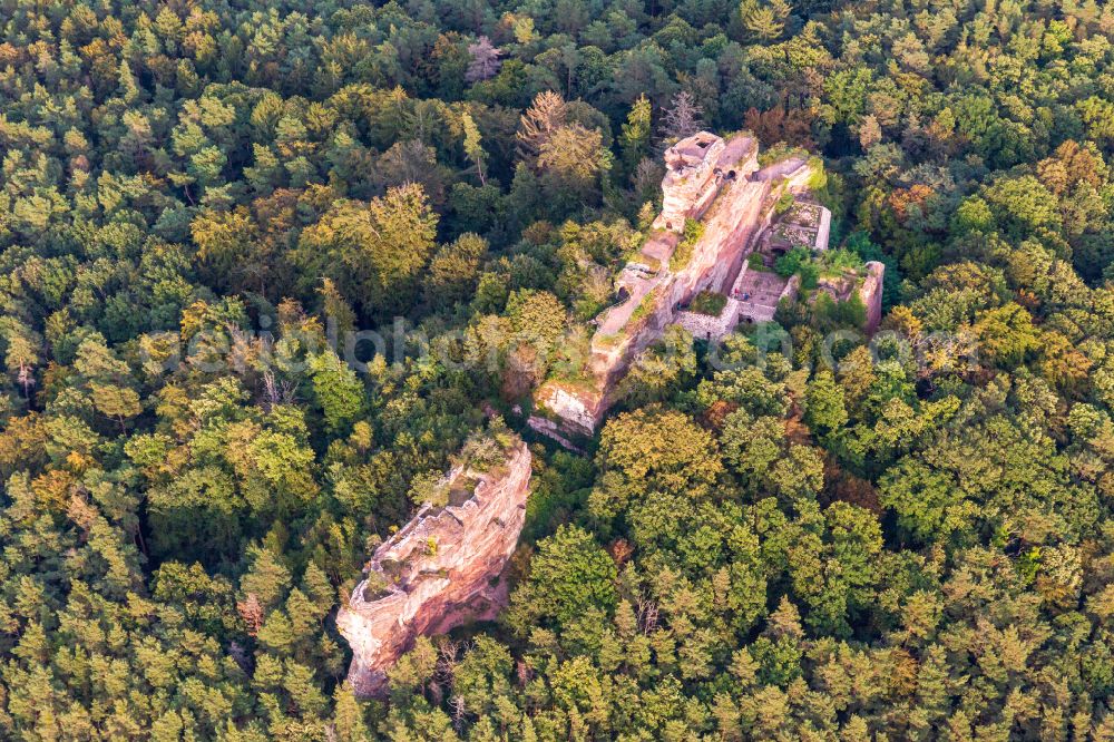 Busenberg from the bird's eye view: Ruins and vestiges of the former castle and fortress Burg Drachenfels in Busenberg in the state Rhineland-Palatinate