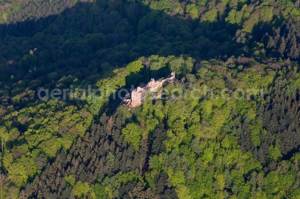 Aerial photograph Ramberg - Ruins and vestiges of the former castle and fortress Burg Meistersel in Ramberg in the state Rhineland-Palatinate, Germany