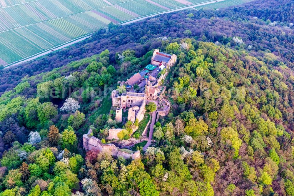 Eschbach from the bird's eye view: Ruins and vestiges of the former fortress Madenburg in spring in Eschbach in the state Rhineland-Palatinate, Germany