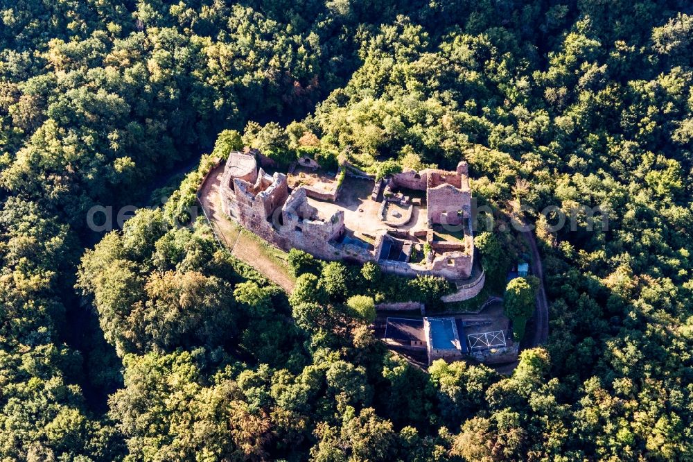 Aerial image Hallgarten - Ruins and vestiges of the former fortress Montfort in Hallgarten in the state Rhineland-Palatinate, Germany