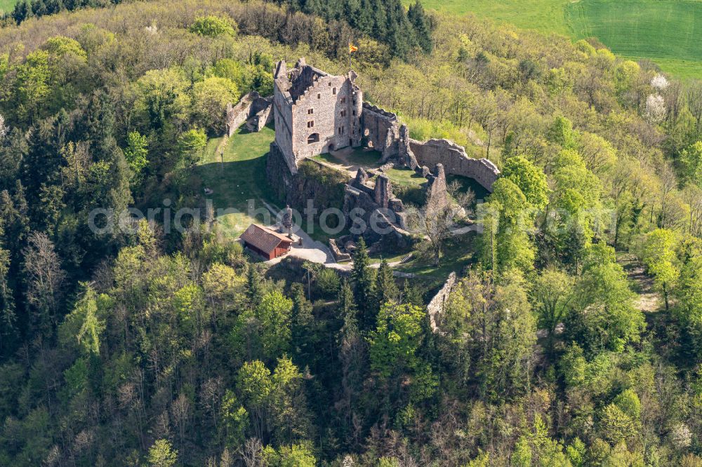 Aerial image Seelbach - Ruins and vestiges of the former castle and fortress Burg Hohengeroldseck on Schlossberg in the district Schoenberg in Seelbach in the state Baden-Wurttemberg