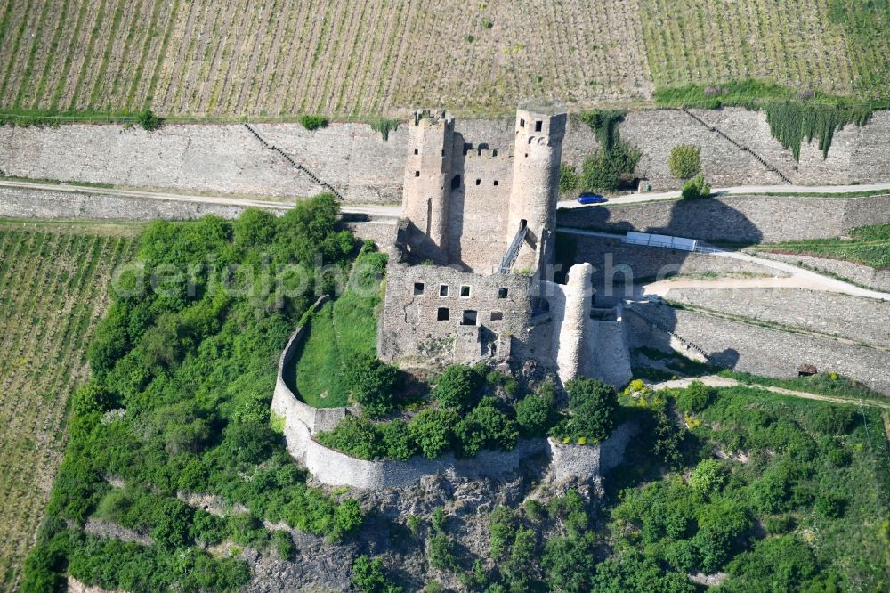 Aerial photograph Rüdesheim am Rhein - Ruins and vestiges of the former castle and fortress Ehrenfels on den Weinbergs- Haengen in Ruedesheim am Rhein in the state Hesse, Germany