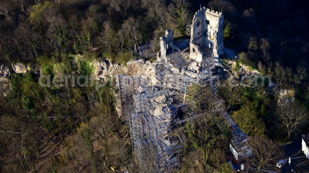 Aerial photograph Königswinter - Ruins and vestiges of the former castle and fortress with scaffolding for renovation and the restaurant Drachenfels on Drachenfels in Koenigswinter in the state North Rhine-Westphalia, Germany