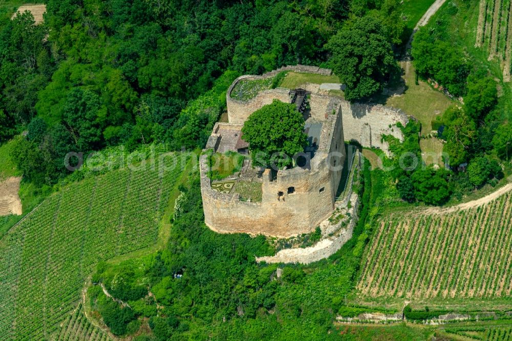 Aerial photograph Kenzingen - Ruins and vestiges of the former castle and fortress Hecklingen om Ortsteil Hecklingen in Kenzingen in the state Baden-Wurttemberg, Germany