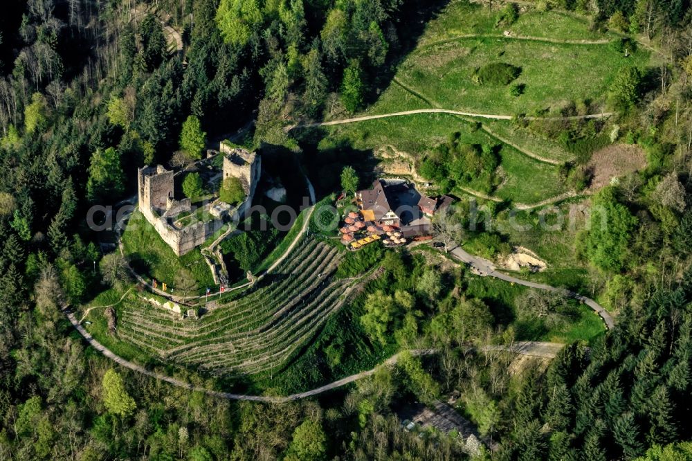 Oberkirch from the bird's eye view: Ruins and vestiges of the former castle and fortress in Oberkirch in the state Baden-Wurttemberg, Germany