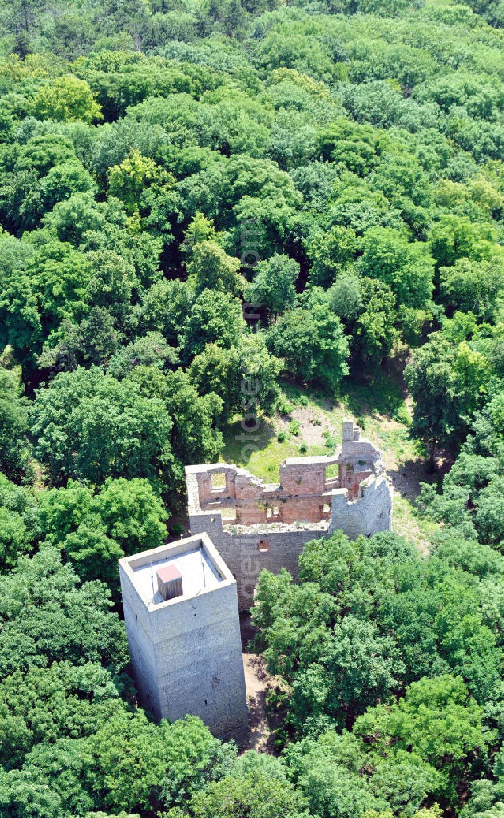 Aerial image Oldisleben OT Sachsenburg - Ruine Obere Sachsenburg auf der Ostsüdostabdachung des Höhenzugs Hainleite im Kyffhäuserkreis in Thüringen. Ruined castle Obere Sachsenburg in Thuringia.