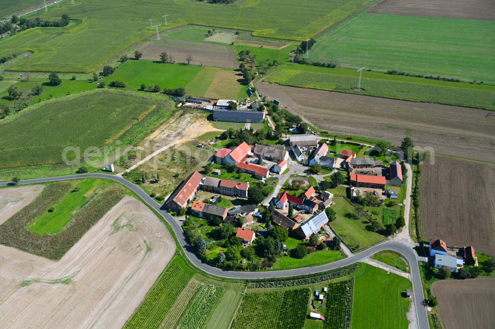 Kitzen from above - Village view with radiating round - shaped farmsteads and residential buildings in the center of the village in Kitzen in the state Saxony, Germany