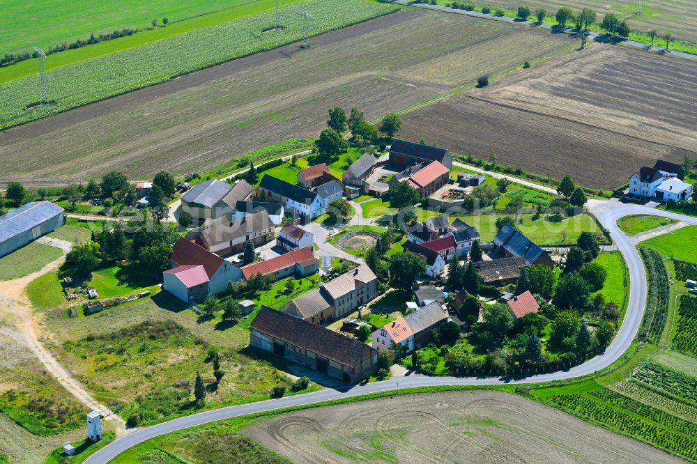 Aerial image Löben - Village view with radiating round - shaped farmsteads and residential buildings in the center of the village in Löben in the state Saxony, Germany