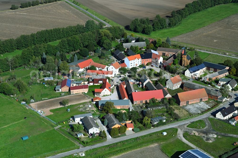Aerial photograph Luso - Village view with radiating round - shaped farmsteads and residential buildings in the center of the village in Luso in the state Saxony-Anhalt, Germany