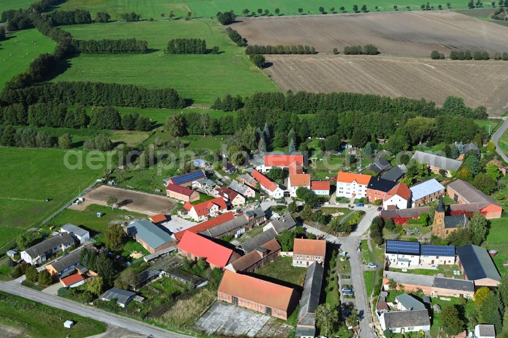 Luso from above - Village view with radiating round - shaped farmsteads and residential buildings in the center of the village in Luso in the state Saxony-Anhalt, Germany
