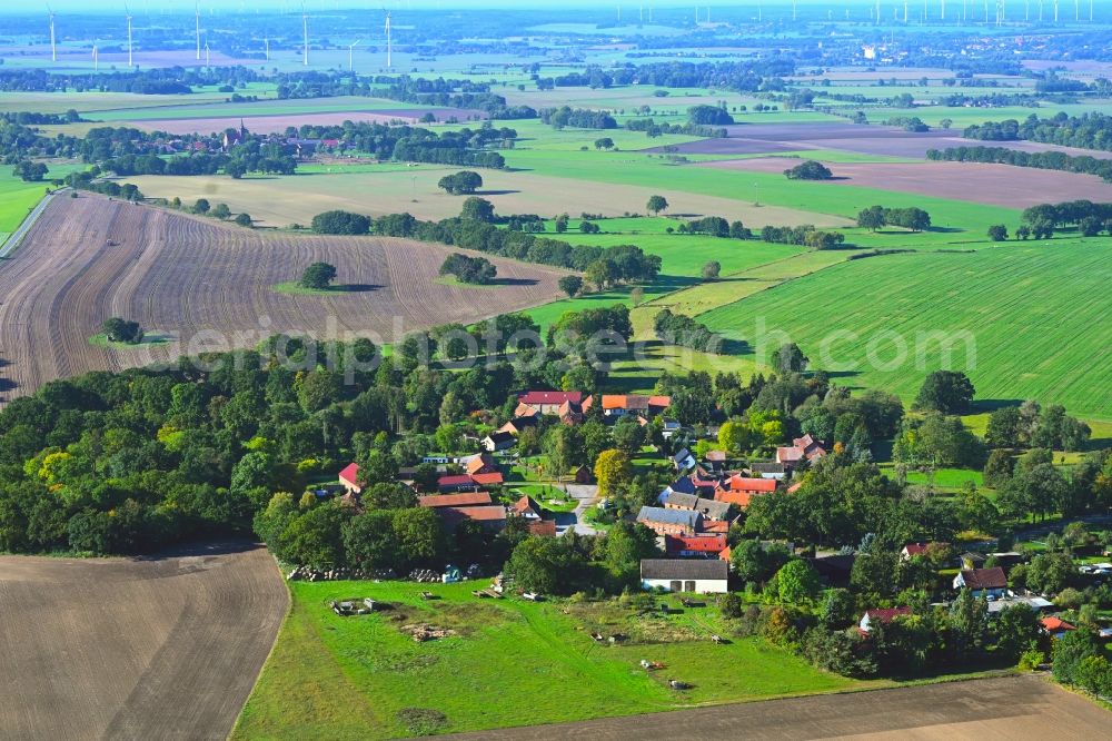 Neu Krüssow from the bird's eye view: Village view with radiating round - shaped farmsteads and residential buildings in the center of the village in Neu Kruessow in the state Brandenburg, Germany