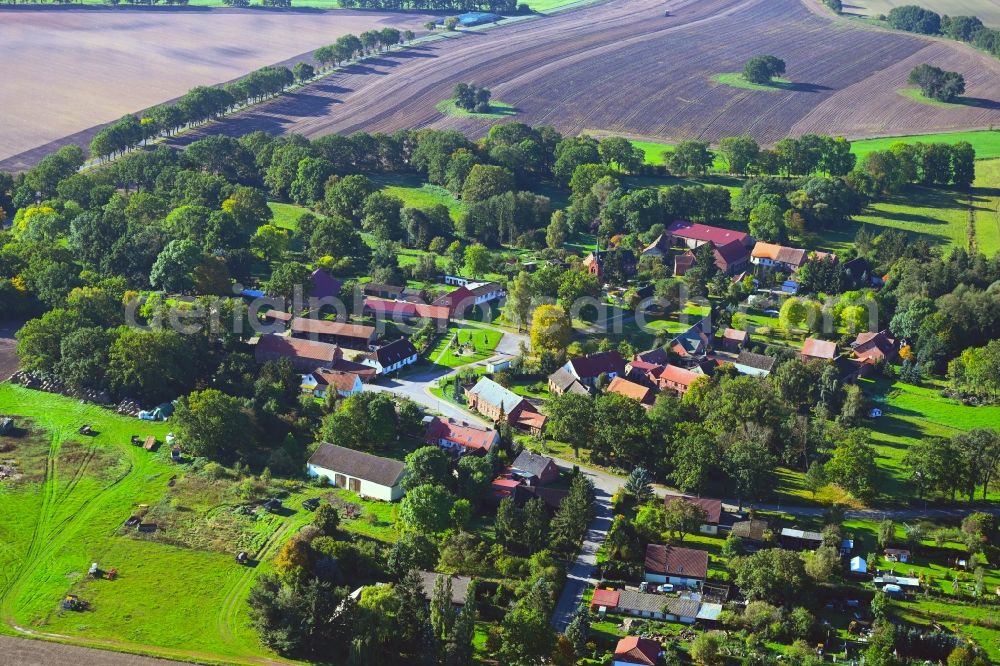 Aerial photograph Neu Krüssow - Village view with radiating round - shaped farmsteads and residential buildings in the center of the village in Neu Kruessow in the state Brandenburg, Germany