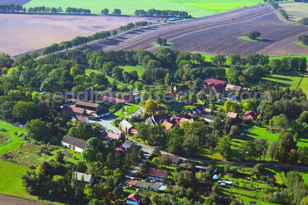 Neu Krüssow from above - Village view with radiating round - shaped farmsteads and residential buildings in the center of the village in Neu Kruessow in the state Brandenburg, Germany