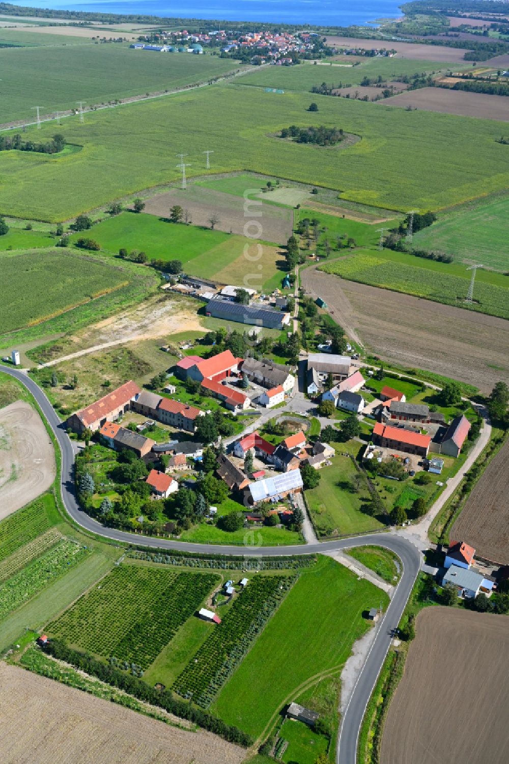 Peißen from the bird's eye view: Village view with radiating round - shaped farmsteads and residential buildings in the center of the village in Peißen in the state Saxony, Germany