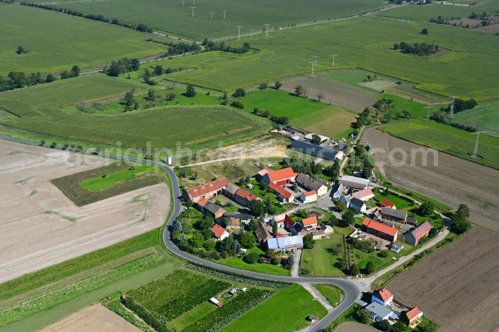 Aerial image Peißen - Village view with radiating round - shaped farmsteads and residential buildings in the center of the village in Peißen in the state Saxony, Germany