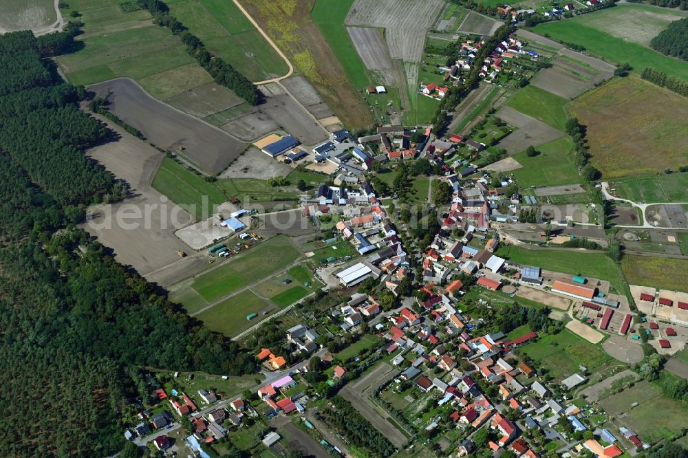 Aerial image Schöneiche - Village view with radiating round - shaped farmsteads and residential buildings in the center of the village in Schoeneiche in the state Brandenburg, Germany