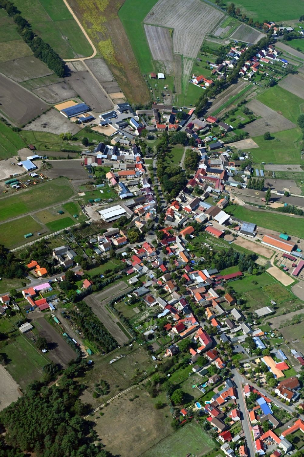 Aerial photograph Schöneiche - Village view with radiating round - shaped farmsteads and residential buildings in the center of the village in Schoeneiche in the state Brandenburg, Germany