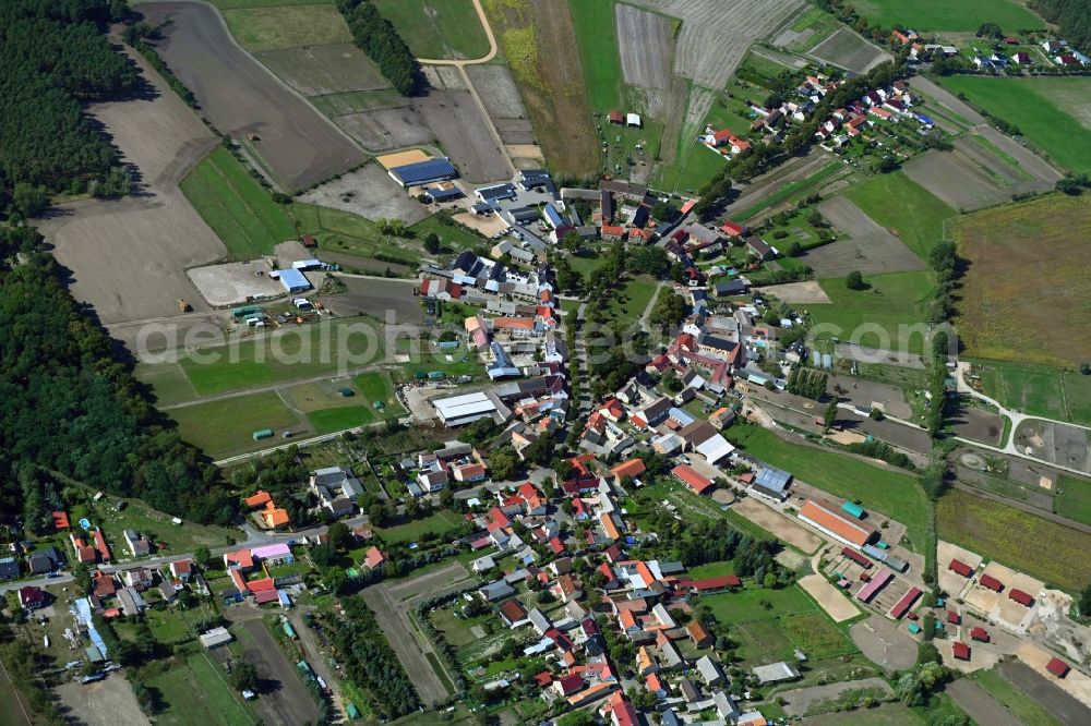 Schöneiche from above - Village view with radiating round - shaped farmsteads and residential buildings in the center of the village in Schoeneiche in the state Brandenburg, Germany
