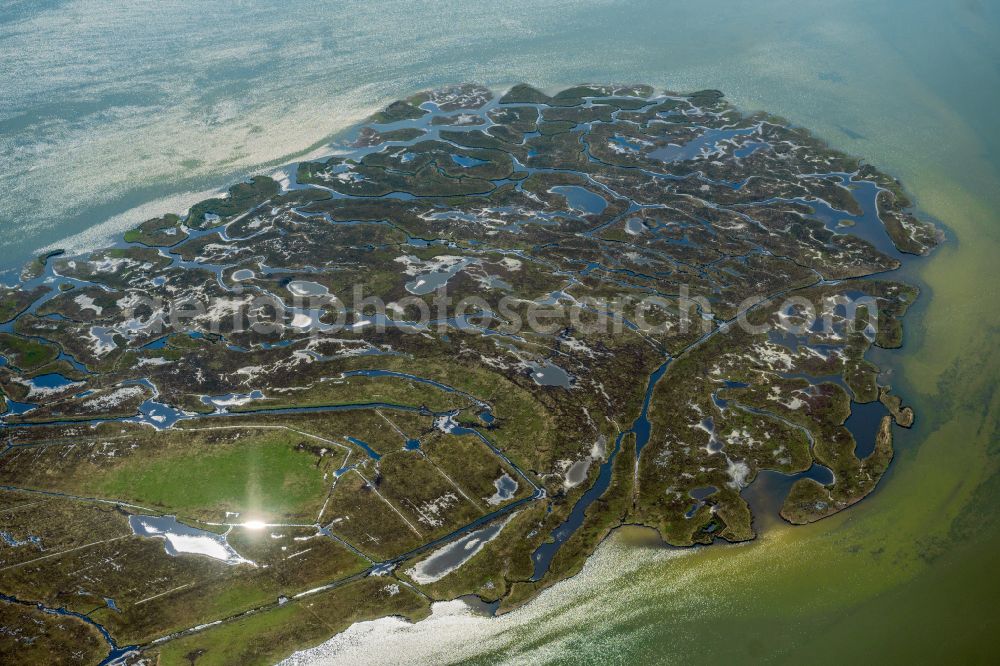 Aerial image Zingst - Salt grassland island and protection of birds area in Zingst in the federal state Mecklenburg-West Pomerania