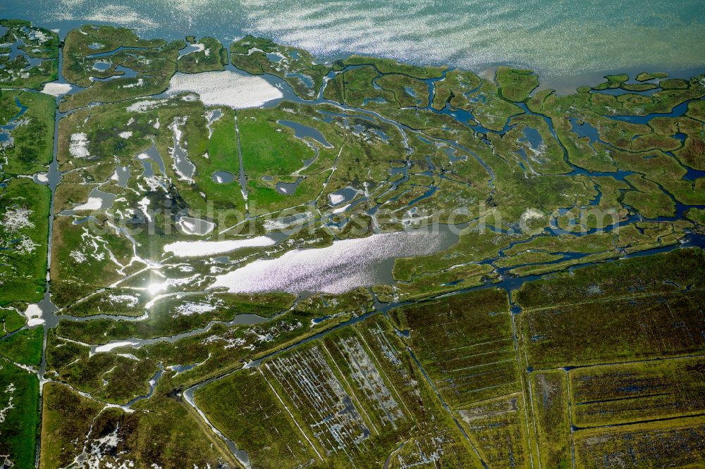 Zingst from above - Salt grassland and bird sanctuary in Zingst on the Baltic Sea coast in the state Mecklenburg - Western Pomerania, Germany