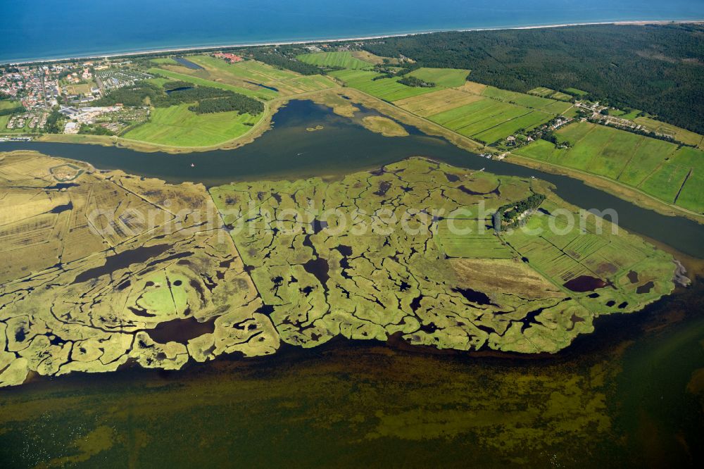 Aerial photograph Zingst - Salt grassland and bird sanctuary in Zingst on the Baltic Sea coast in the state Mecklenburg - Western Pomerania, Germany